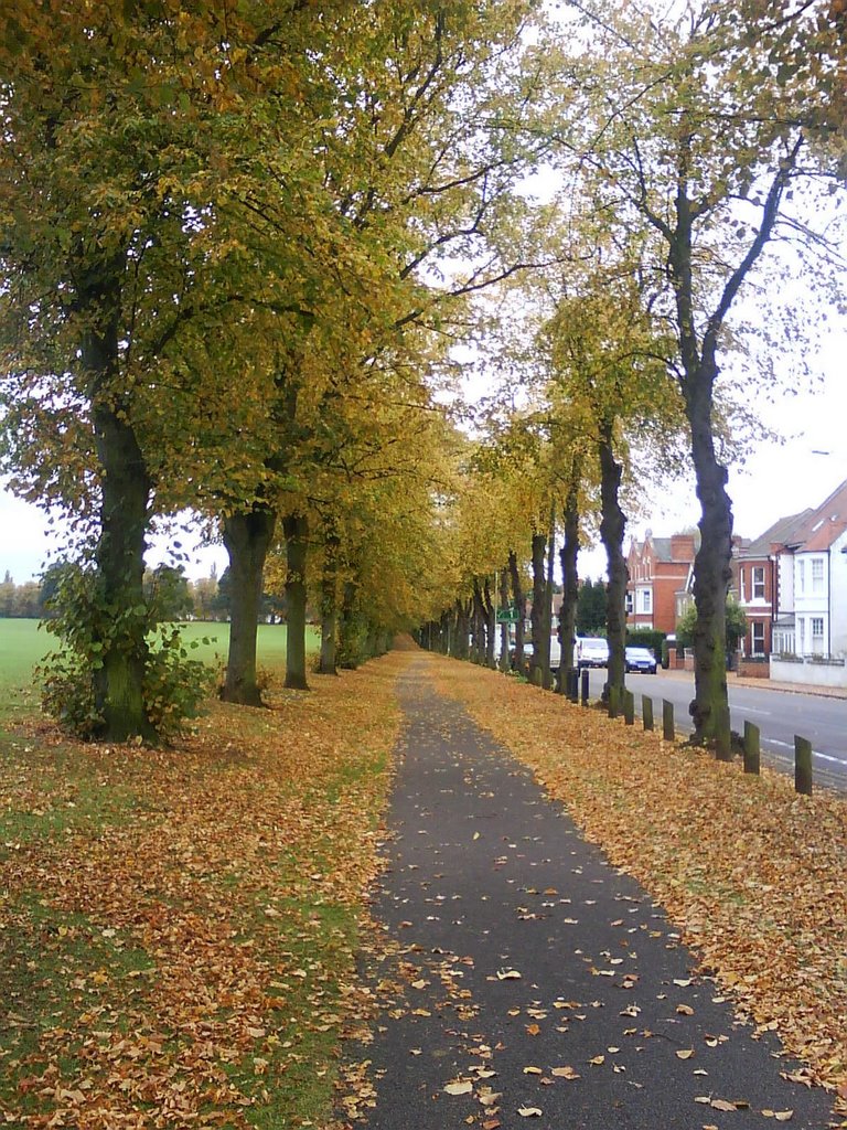 Racecourse Park in autumn