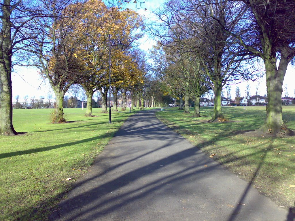 The Racecourse