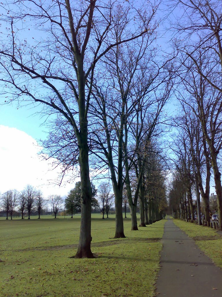 Racecourse as seen when heading down St. Georges Avenue