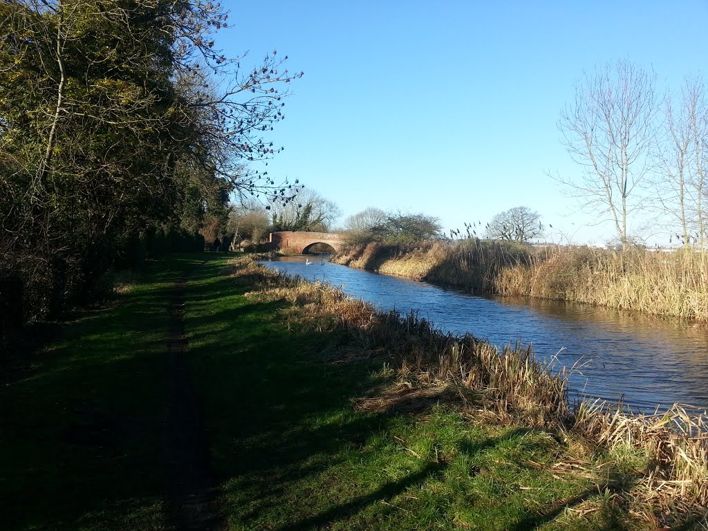Bridge 14 Grand Union Canal Northampton Branch