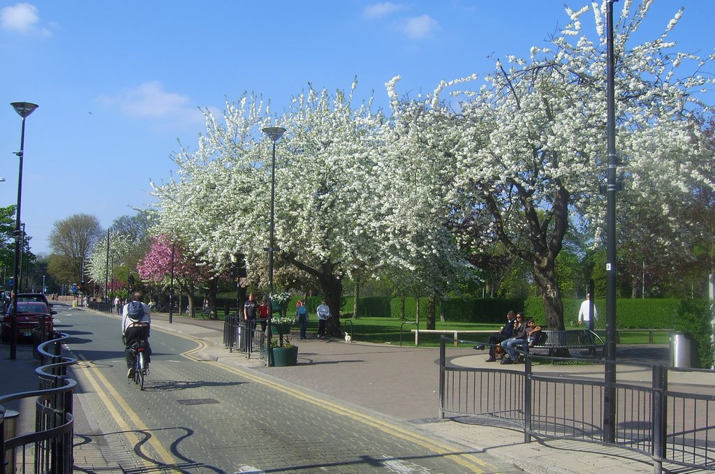 Central Avenue, West Bridgford, Nottingham. 2009