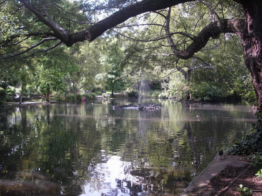 the Arboretum fountain