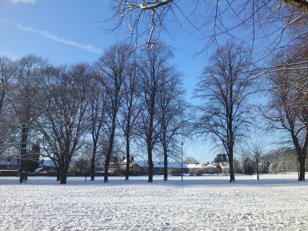 Abbey Green, Nuneaton (January 2010 Snowfall)