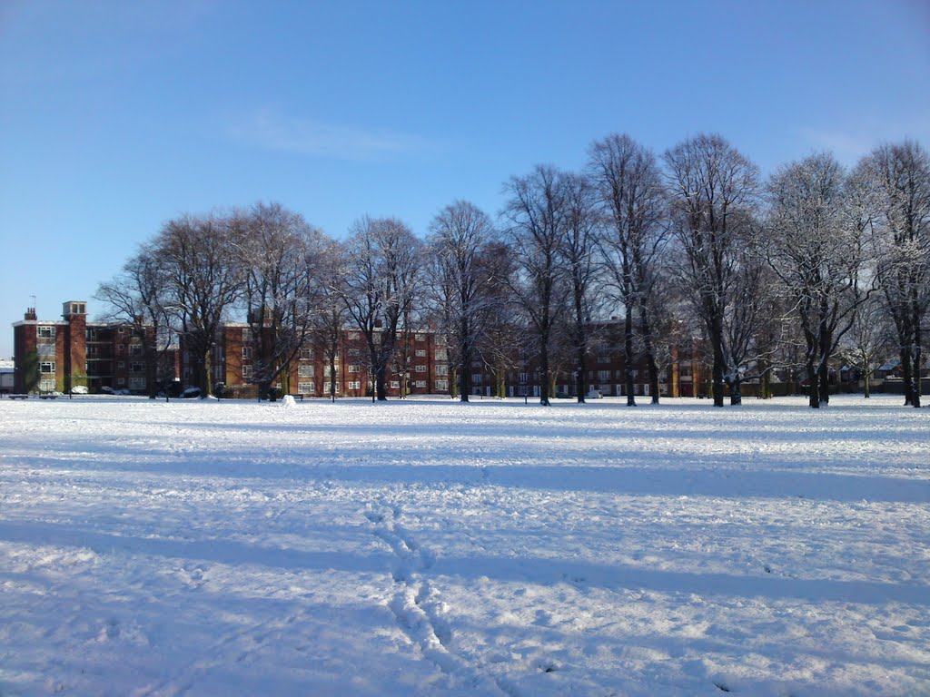Abbey Green, Nuneaton (January 2010 Snowfall)