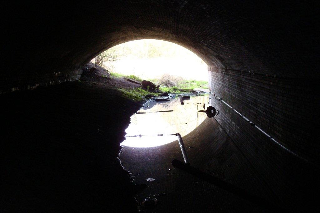 From inside "The Darkies"