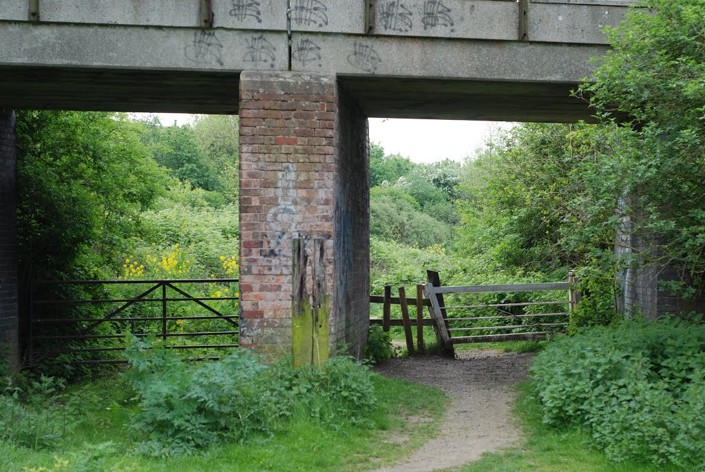 Clapper gates on the riverside walk at Newark on Trent