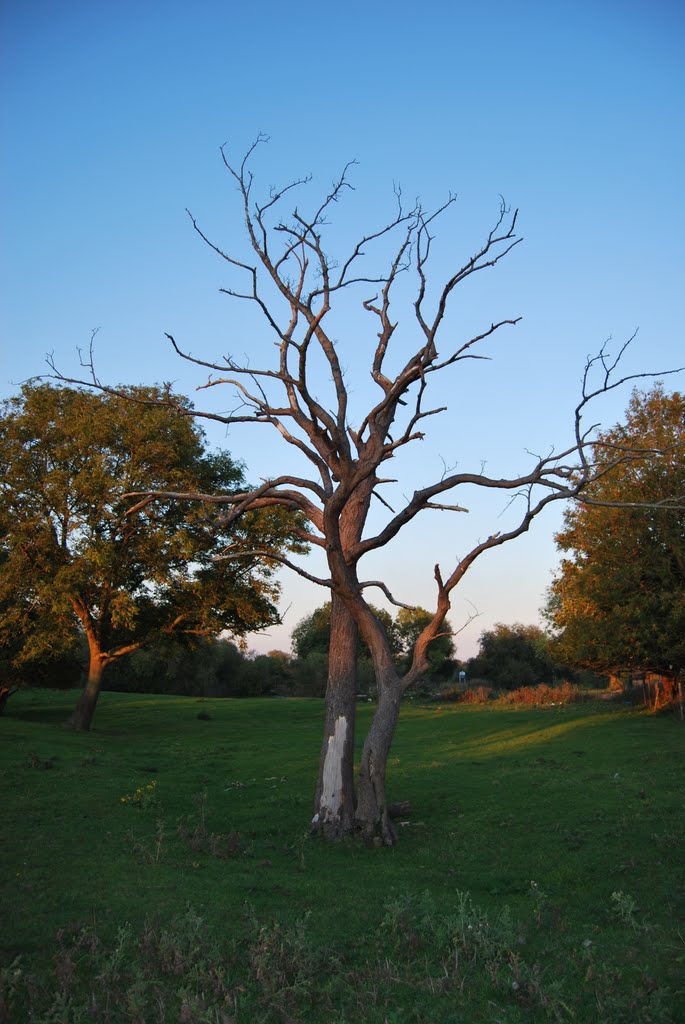 Newark-on-Trent,Nottinghamsire,England
