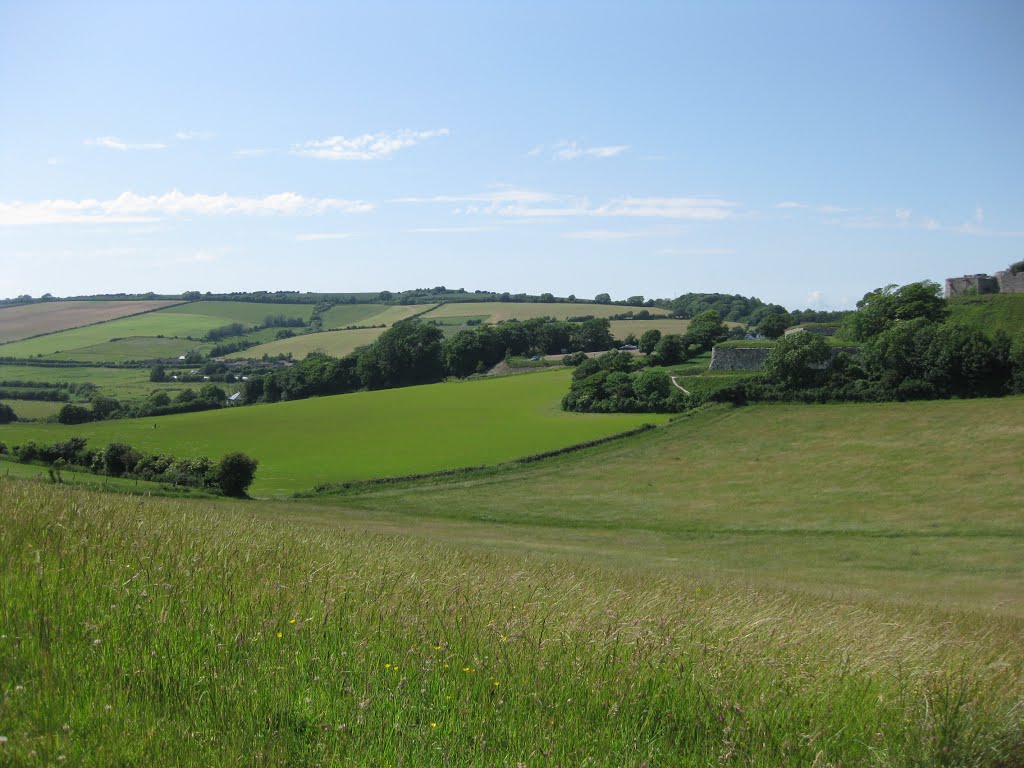 Carisbrooke Castle from Whitcombe Cross, June 2010