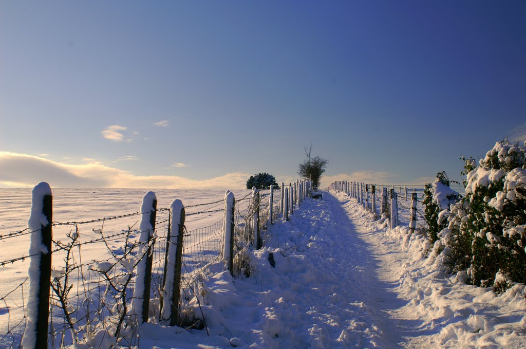 Isle of Wight Snow
