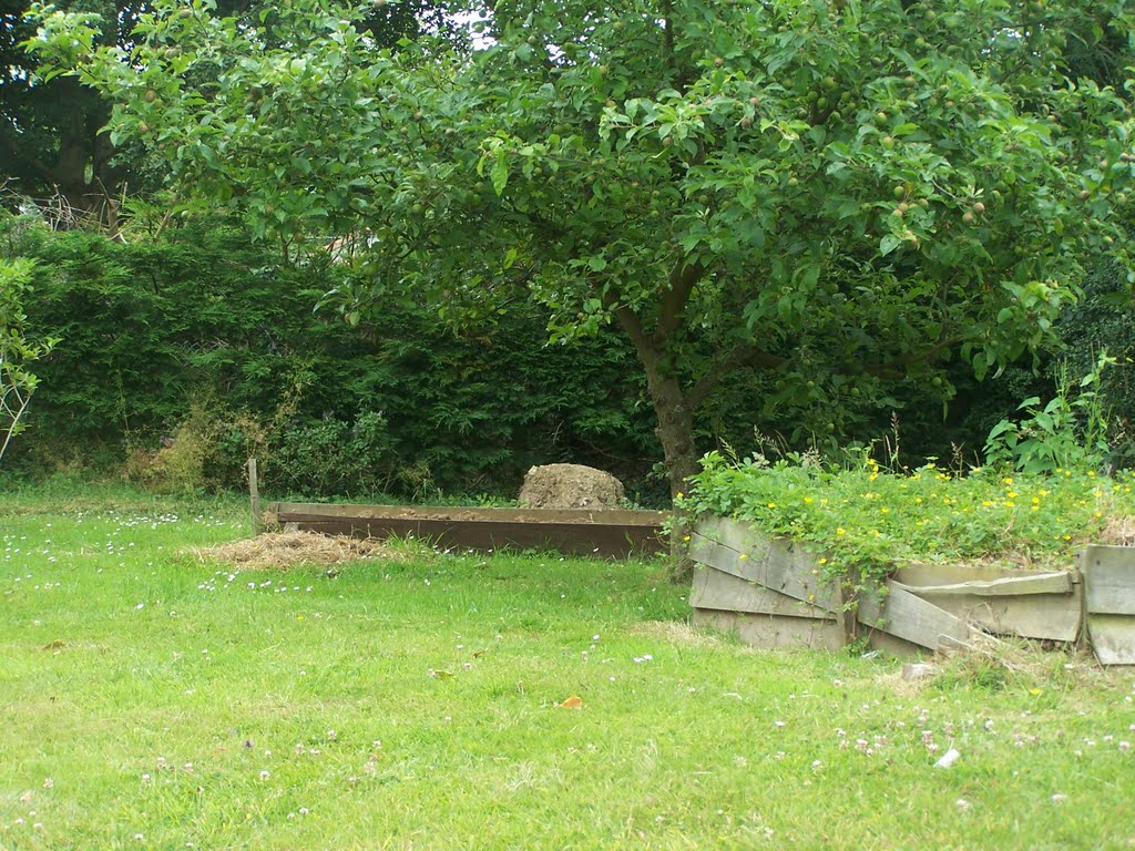 Bungalow Garden