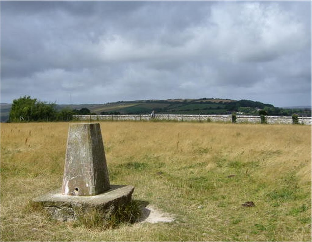 Mount Joy Triangulation Pillar (Isle of Wight)