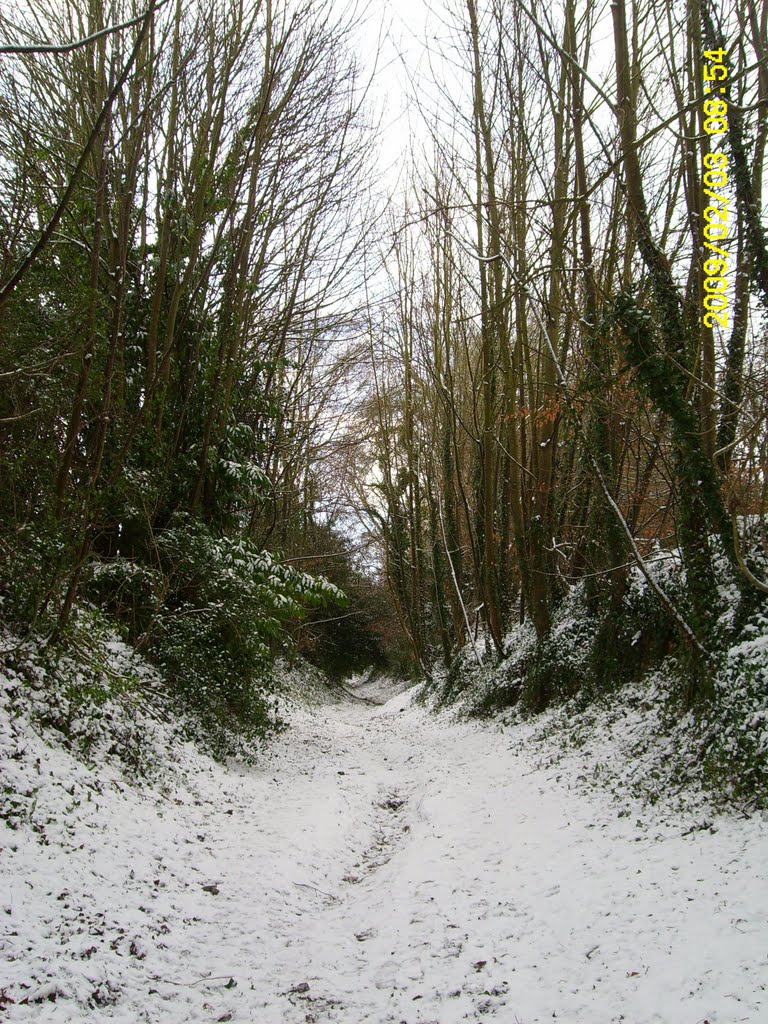 snowy footpath N66, Carisbrooke Feb 2009