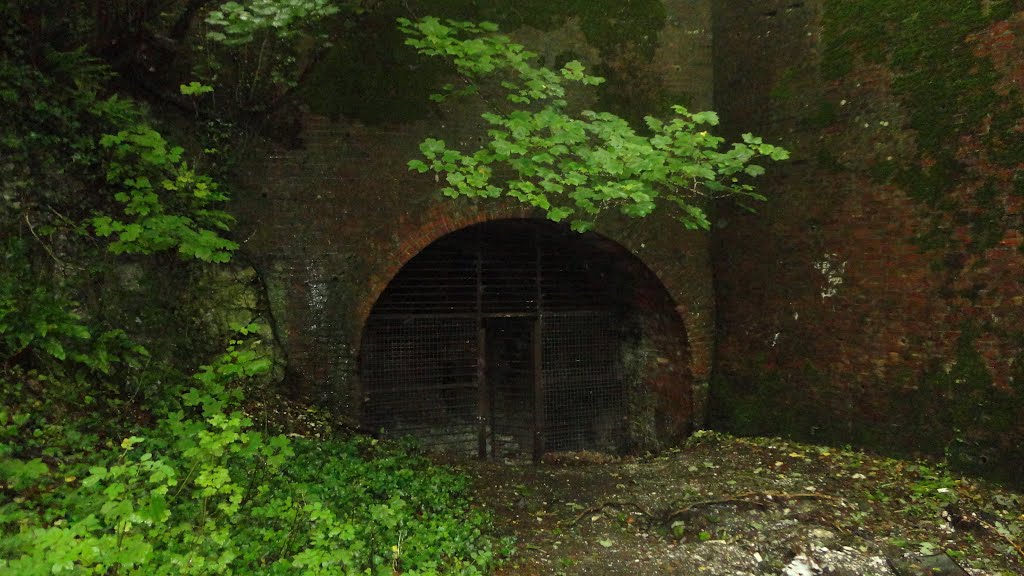 old railway tunnel ( unused )