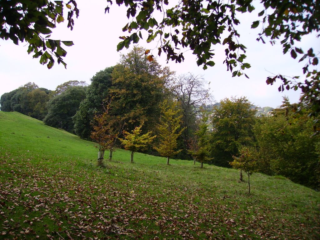 Isle of Wight. 06.10.2007.