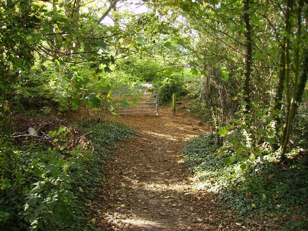 Isle of Wight. 06.10.2007.