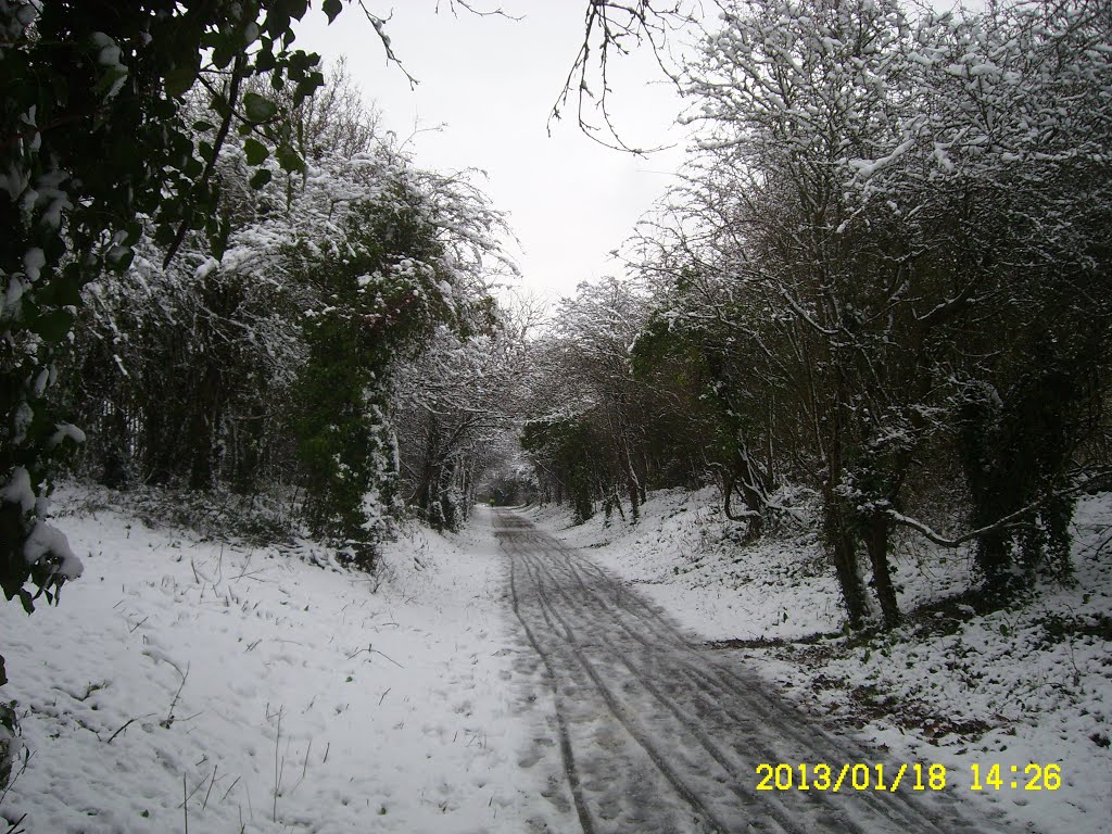 Looking north, from the Newport end of the Newport-Cowes cycletrack 18 Jan 2013