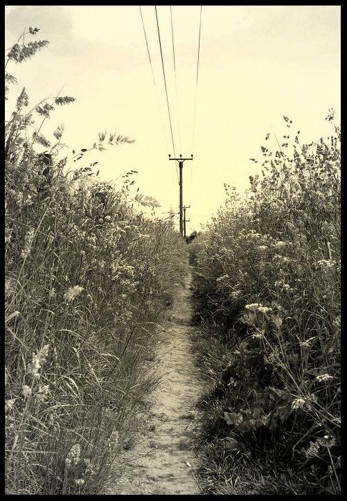 Overgrown