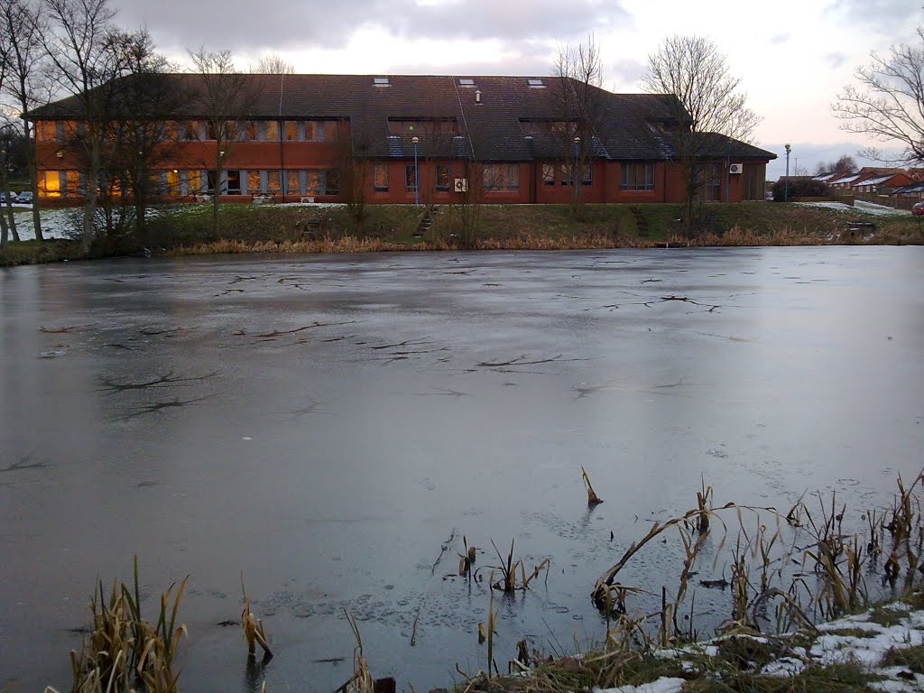 iced up pond on owl lane