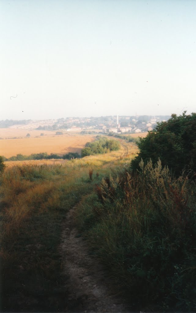 old railway line looking towards earlsheaton. late 1990s