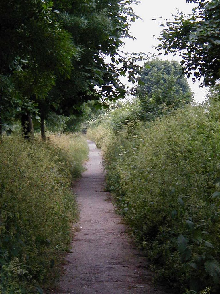 The long and winding road