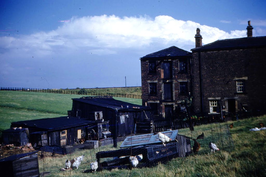 Tumbling Close ,Ossett. 1960