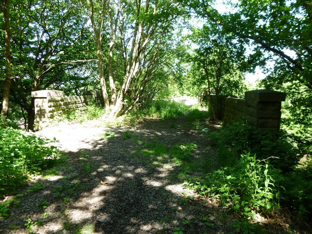 Bridge over old Mill Bank Quarry