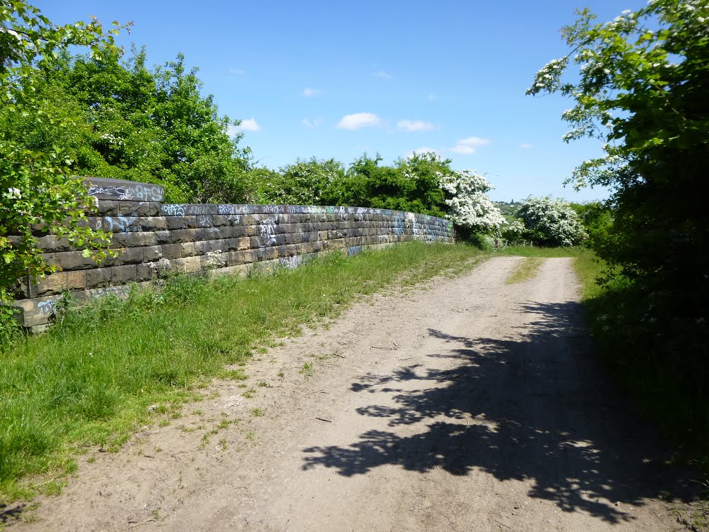 Old rail bridge on Kirklees Way