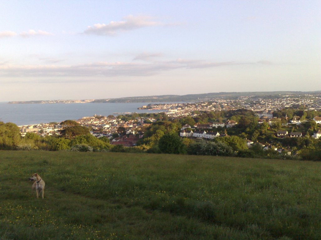 Views over Paignton