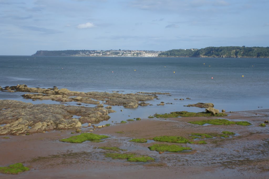 Brixham from Goodrington