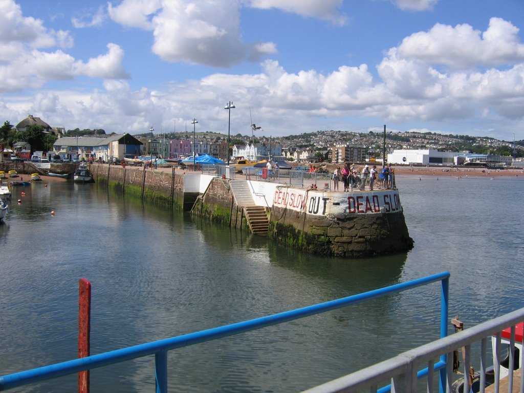 Paignton, Harbour, July 2006