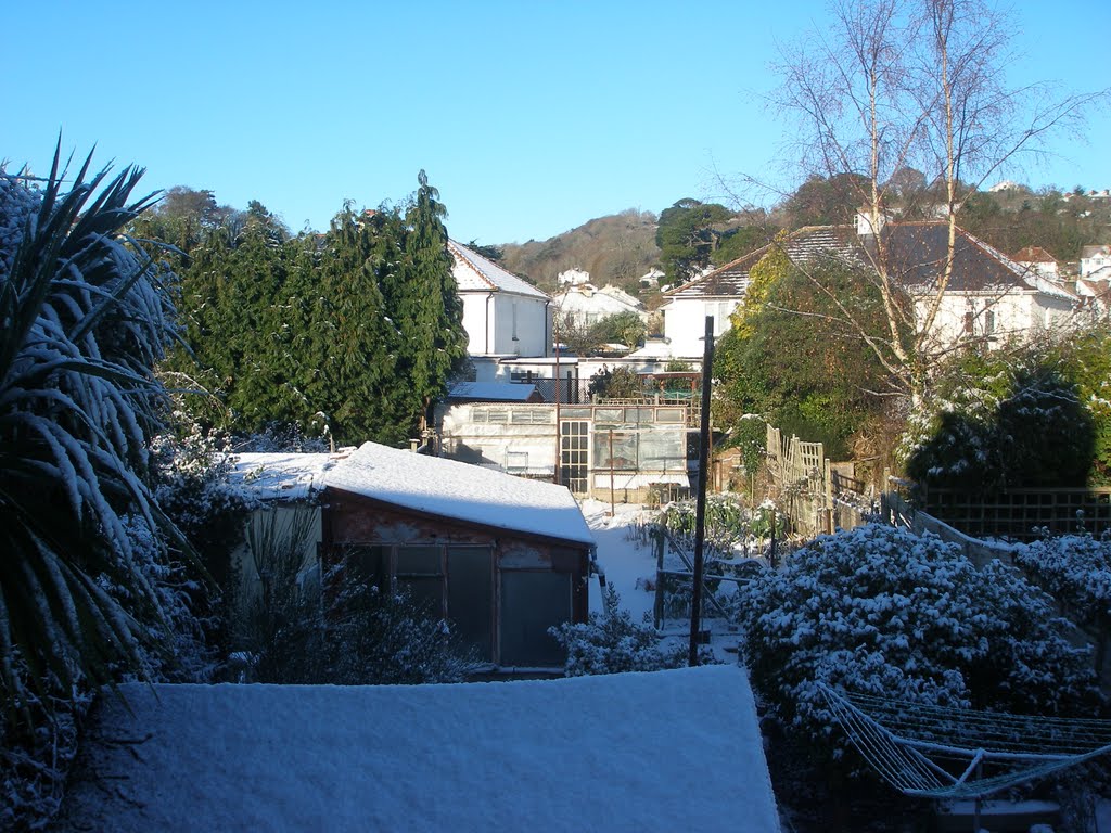 view from my back window