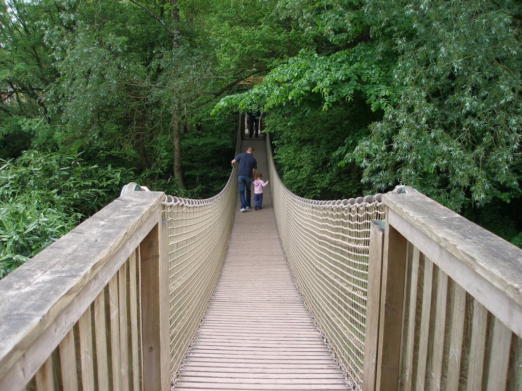 lemur bridge at paignton zoo
