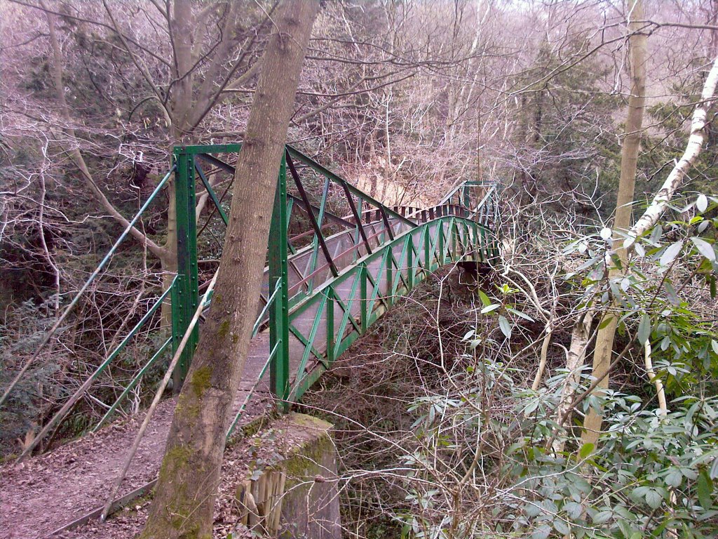 Gunners Pool Bridge - another view