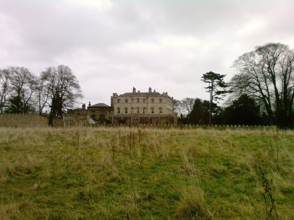 The Castle