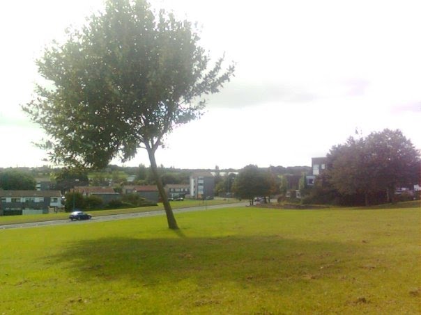 Passfield Way