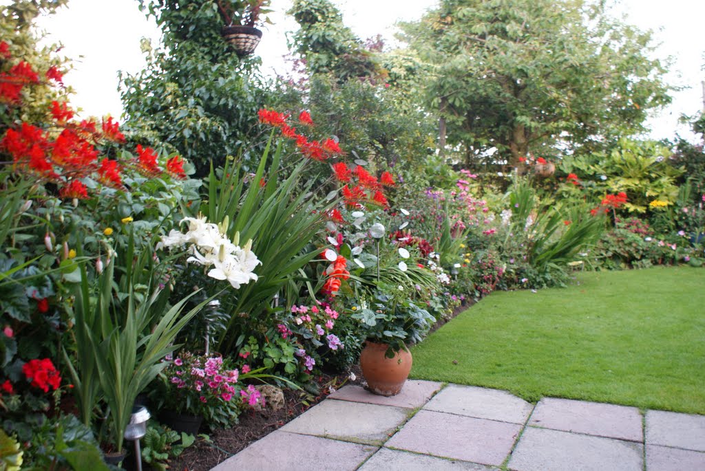 a little oasis