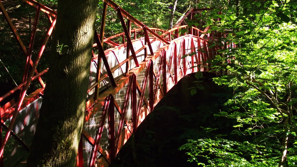 footbridge