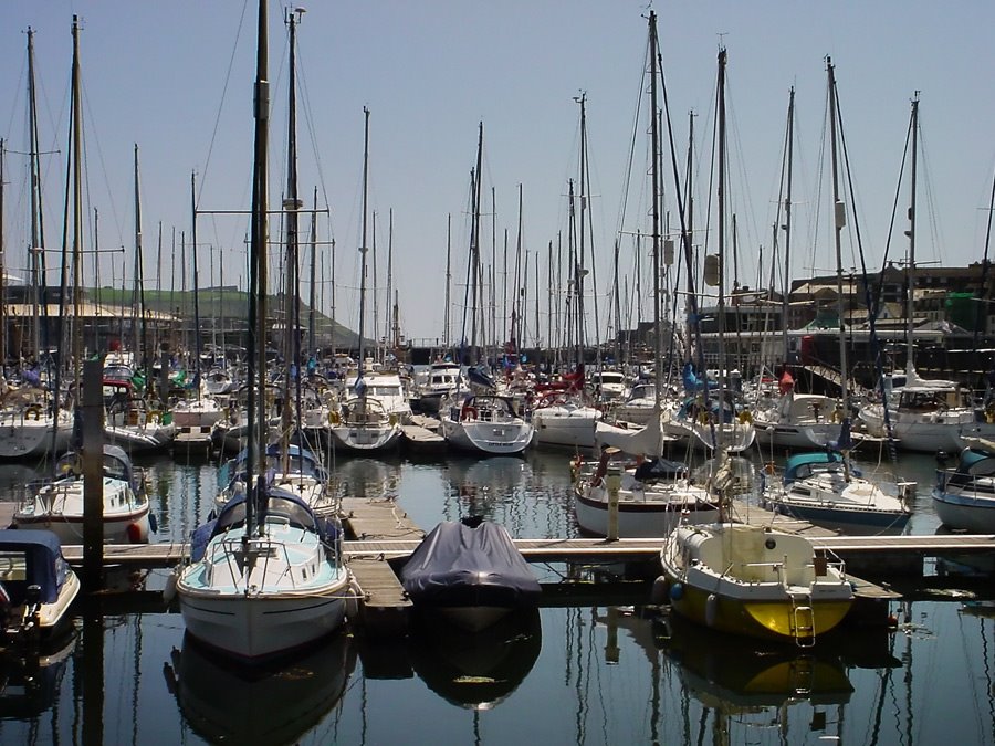 Marina Yachts