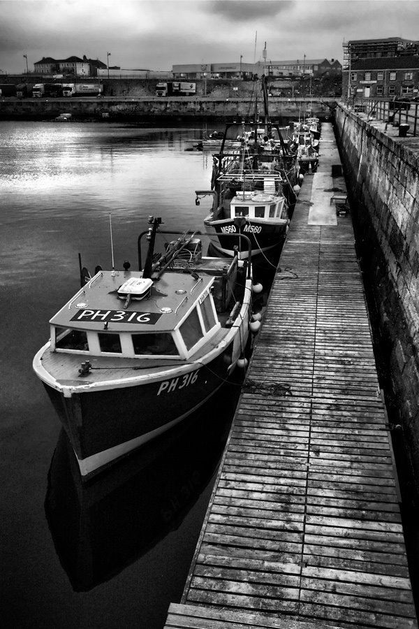 Pontoon Boats