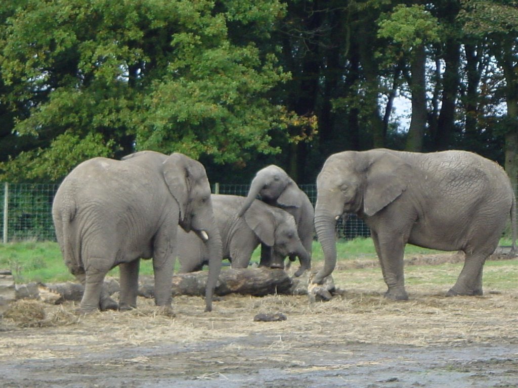 Knowsley Safari Park Prescot