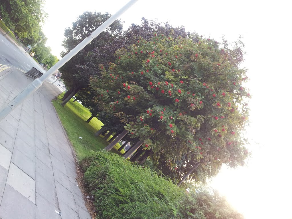 Liverpool