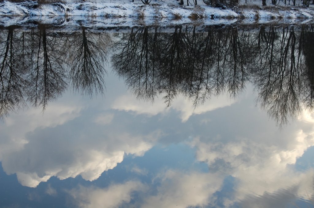 Reflection, December 2009