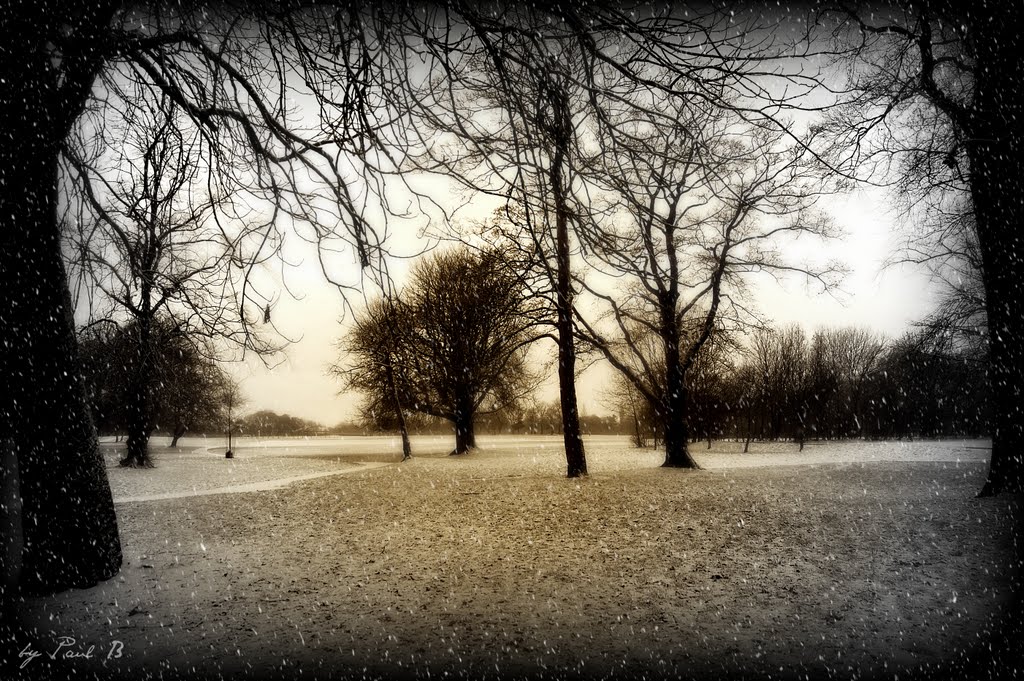A COLD DAY IN PRESTON - by Paul B .