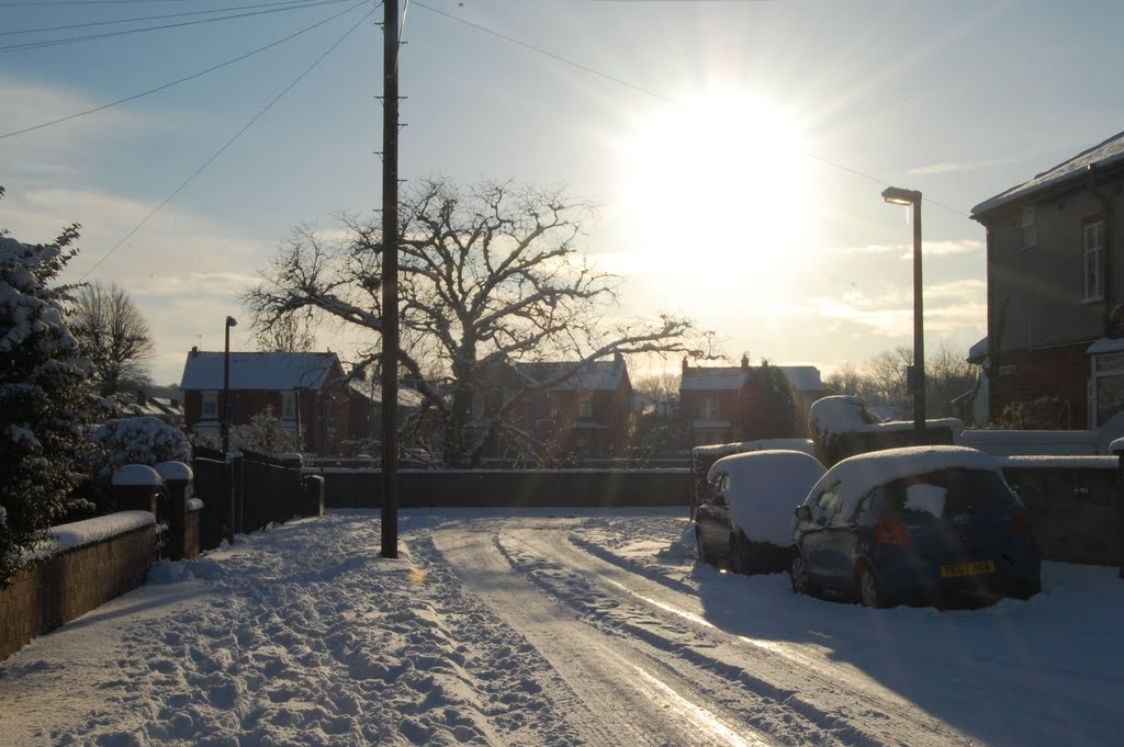 Snowy neighbourhood