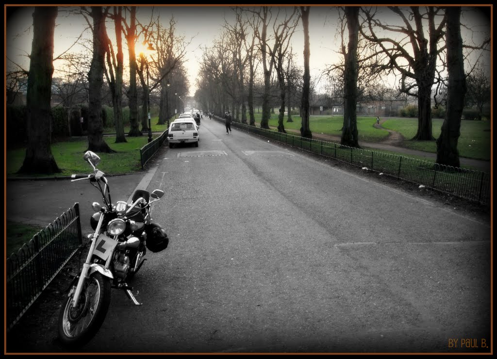 MOOR PARK AVENUE - by Paul B.