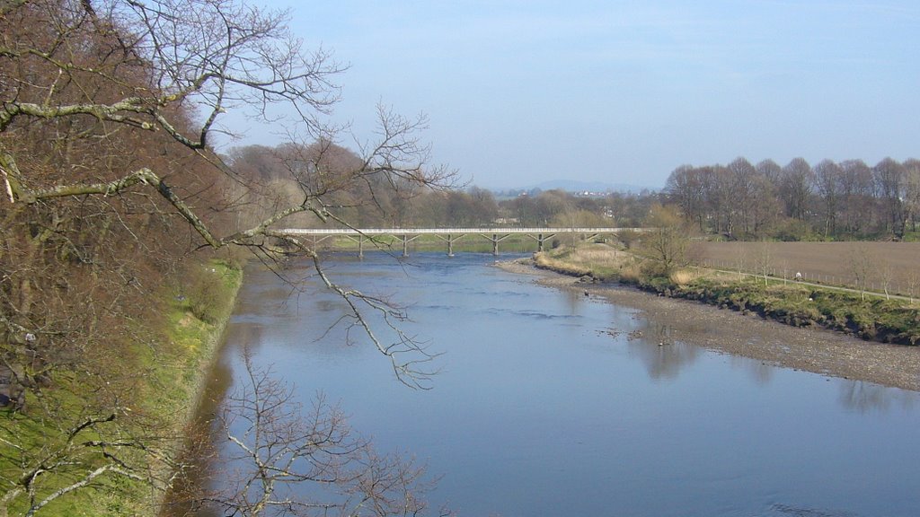 River Ribble, Summer 2007