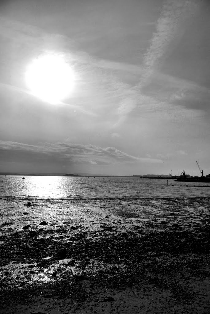 Poole harbour from the Baiter