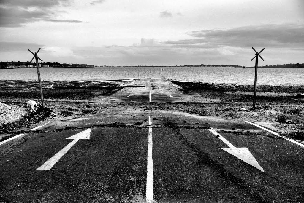 two-way slipway with dalmatian