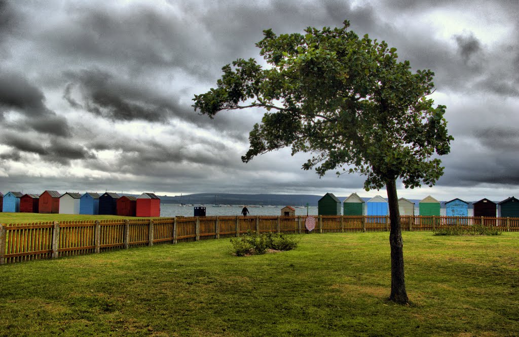 tree and beach huts