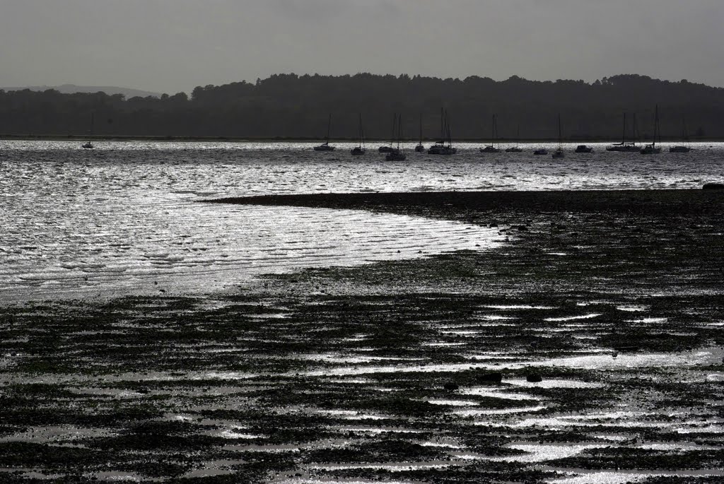 this is a colour photograph